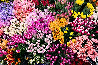 踏上《赤痕：夜之仪式》的新旅途 成为光之子吧